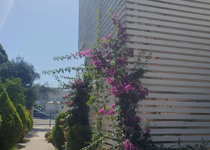 Stella Marina Family Apartment 2
