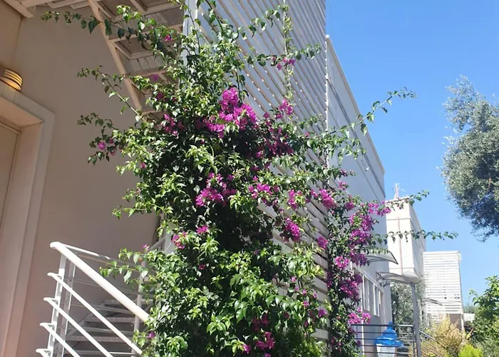 Stella Marina Family Apartment 2