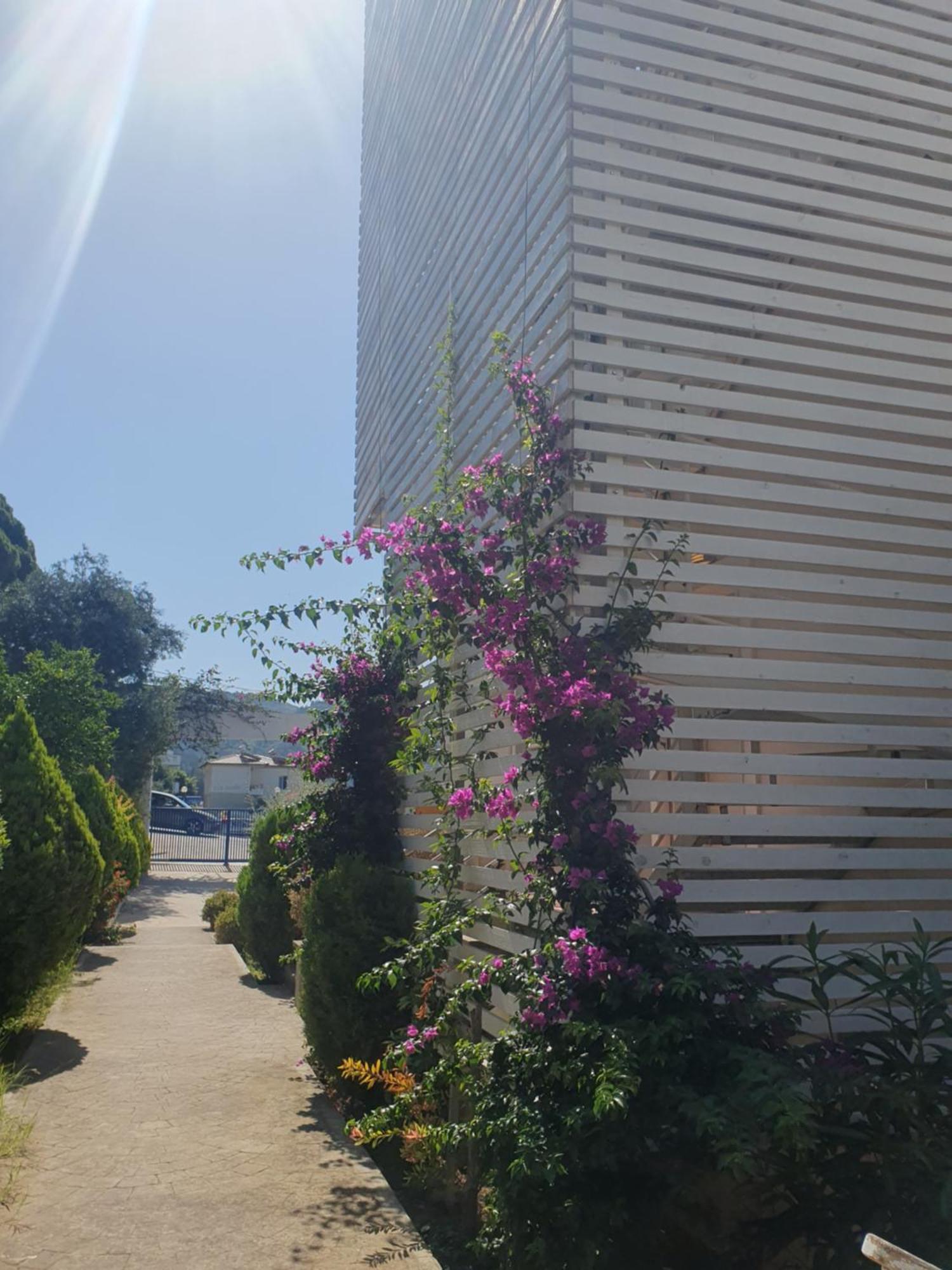 Stella Marina Family 2 Apartment Dhermi